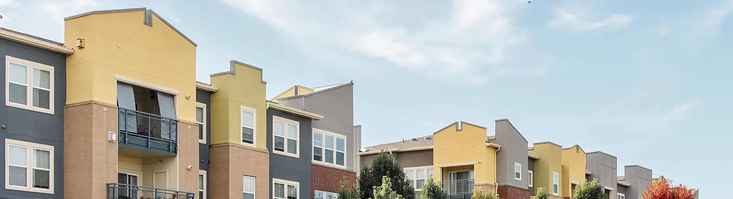 Charting a Course for Success A Year Ahead with Hamilton Zanze