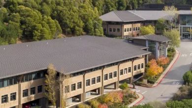 Belvedere Place, Mill Valley, CA