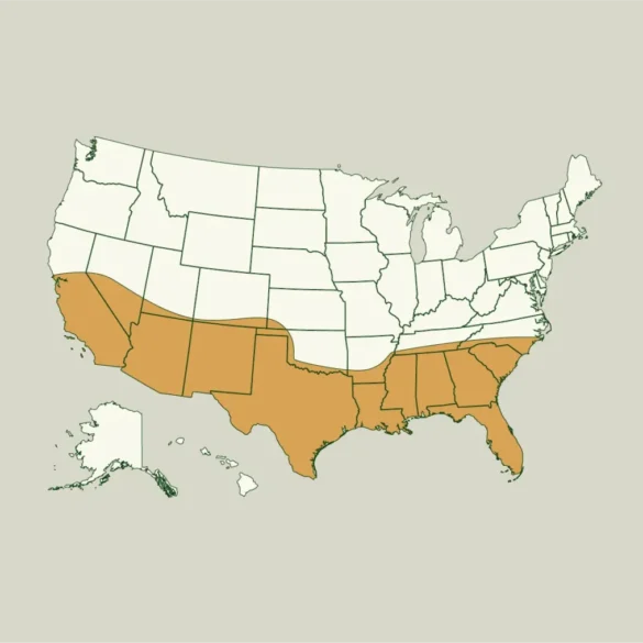 Investors Chase Migration