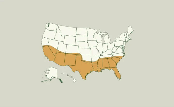 Investors Chase Migration