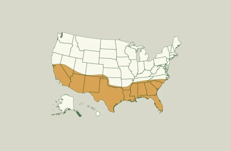 Investors Chase Migration